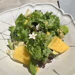 ASAKO IWAYANAGI SALON DE THE - 