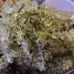 居酒屋はいさい - 