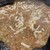 月島もんじゃ・お好み焼き てっぱん - 料理写真: