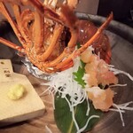 こなす - 伊勢海老御造里アップ