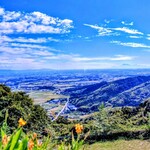 ベアークリーム - 