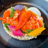 Benoit Alain Ducasse - 