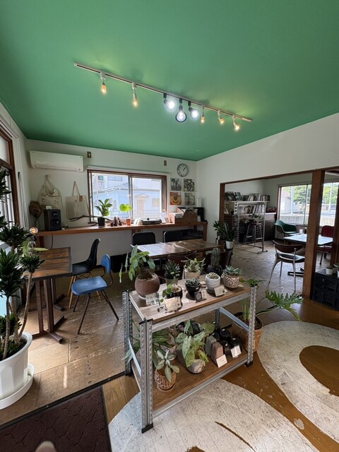 ケンジーズドーナツ西戸崎No.13CAFE （サイトザキナンバーサーティ