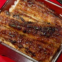 炭焼 うな富士 有楽町店 - 