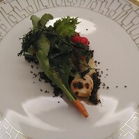 SALONE TOKYO - ガルダニア　その日の野菜で作るサラダです。バーニャカウダ仕立てです。素材もですが、ソースがとてもよかったです