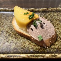 アカミヤコウシ - 