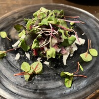 アカミヤコウシ - 