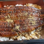 うな政 - デッカい鰻がデーンと乗ってます、大盛りはご飯がたっぷり