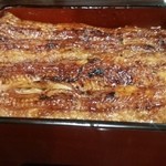 うなぎ 魚政 - 坂東太郎特上