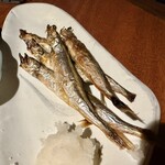 磯金 漁業部 枝幸港 - 子持ちししゃも