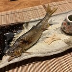 尾頭橋すみや - 鮎の塩焼き