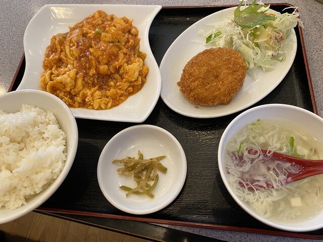 Chinese Ajia Hibino Ten