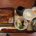 鰻専門店 愛川 - 鰻重 特上 関東風