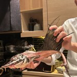 感と間 - おお〜こんな魚なのね〜w