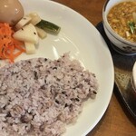 初台スパイス食堂 和魂印才たんどーる - 202511