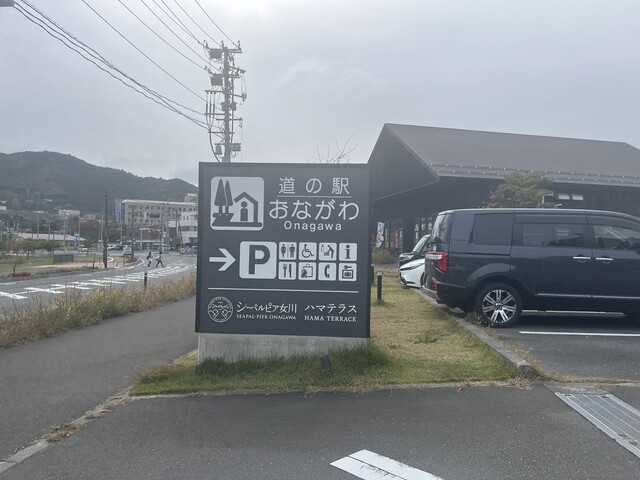 さんまのヤマホン 女川ハマテラス店 - 女川（売店）の写真