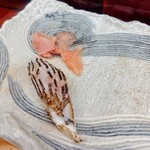 鮨いの上 - 島根どんちっちノドグロ炙りでシメ