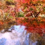 Cafe St. Maire KUMOBA - 