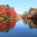 Cafe St. Maire KUMOBA