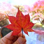 Cafe St. Maire KUMOBA - 