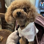 アガリコ 新宿 オリエンタルビストロ - シェリ