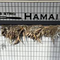 ビストロ ハマイフ - 