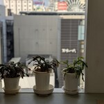 スパゲティ コモ - 