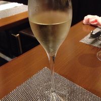 オッジ ダルマット 西麻布店 - 