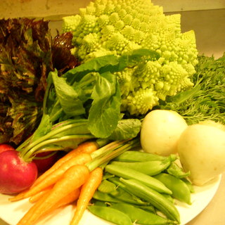 Fresh and delicious vegetables