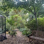 カフェ おきもと - 