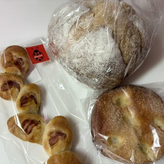 パンドットコム_0