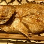 吟魚のはなれ  吟チロリ - 