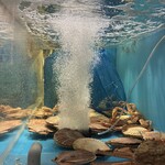 地酒と道産食材 一笑 ～丙～ - 