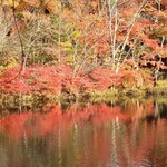 Cypress Karuizawa - 雲場池の紅葉