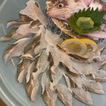 八千代丸 博多駅前店 - 