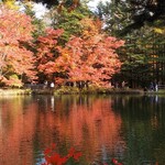 Cypress Karuizawa - 同左