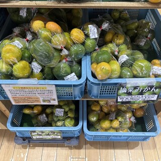 道の駅 潮見坂_1