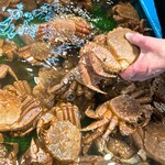 鮮魚食堂 かわしま - 