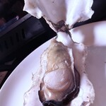 ネオ韓国酒場×食べ飲み放題 韓美-カンビ-熊本【個室完備】 - 