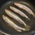 魚一 - 2025.10.28 昆布森の本ししゃも