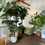 九十九別邸 豆の湯 - 