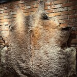 バルバッコア 渋谷店 - 