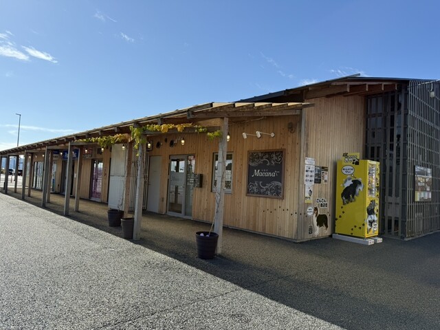 南三陸さんさん商店街 - 志津川（その他）の写真