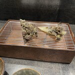 日本橋天ぷら ふじなみ - 