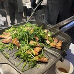 プルトゥンヌンテジ - 