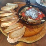 ESOLA - 