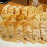 とんきっき - 餃子大皿盛り合わせ
