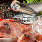 でらうま - 名古屋中央卸売市場直送!!