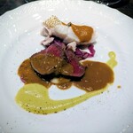 ビステリア サトッロ - 