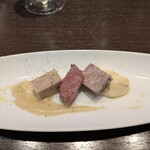 ビステリア サトッロ - 